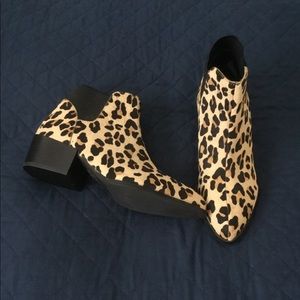 Never Worn Steve Madden Chelsea Leopard Print Calf Hair Booties